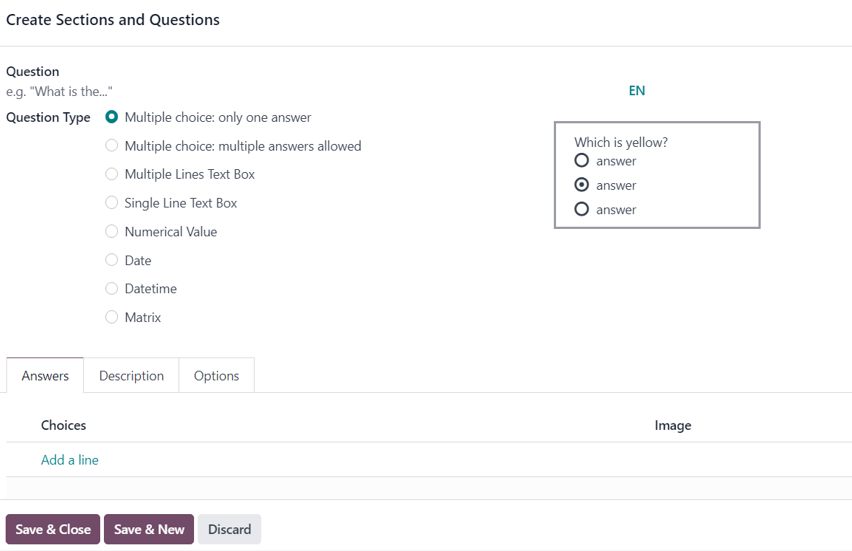 The Create Sections and Questions pop-up form in Axis Surveys.